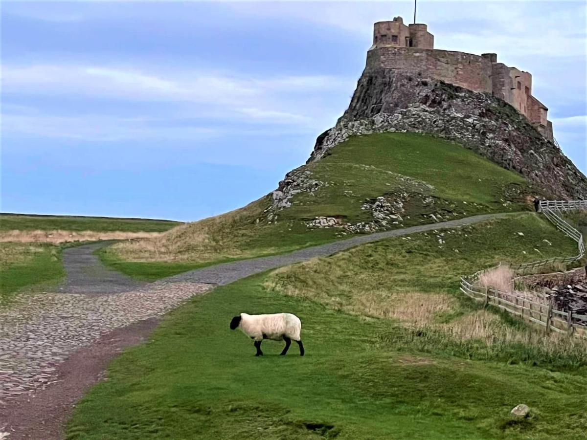 The Ship Inn Holy Island of Lindisfarne Exterior foto